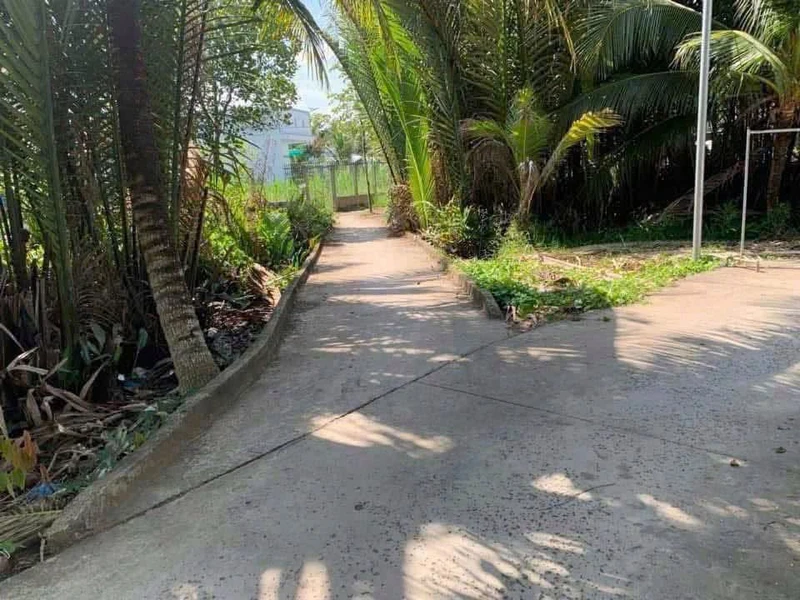 Bán đất 281m2 tại Bến Tre, xã Mỹ Thạnh An
