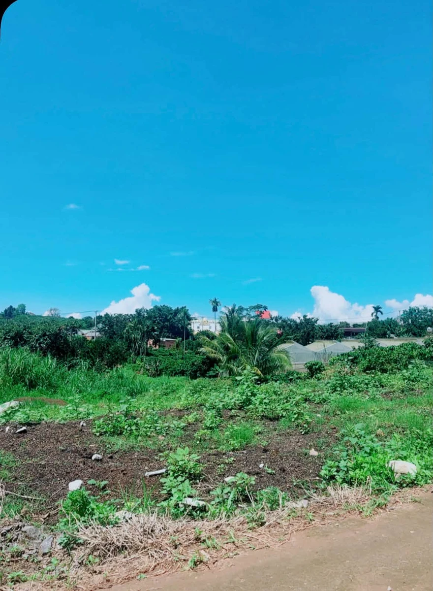 Bán đất 410m² sẵn thổ cư Nam Ban Nhà Bè - Ảnh thu nhỏ 3
