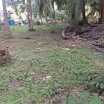Bán đất 750m² Tân Thành Bình, Mỏ Cày Bắc, Bến Tre - Ảnh thu nhỏ 2