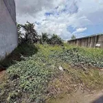 Bán lô đất 160m2 đường Chu Văn An, Cần Đước, 1,4 tỷ - Ảnh thu nhỏ 4