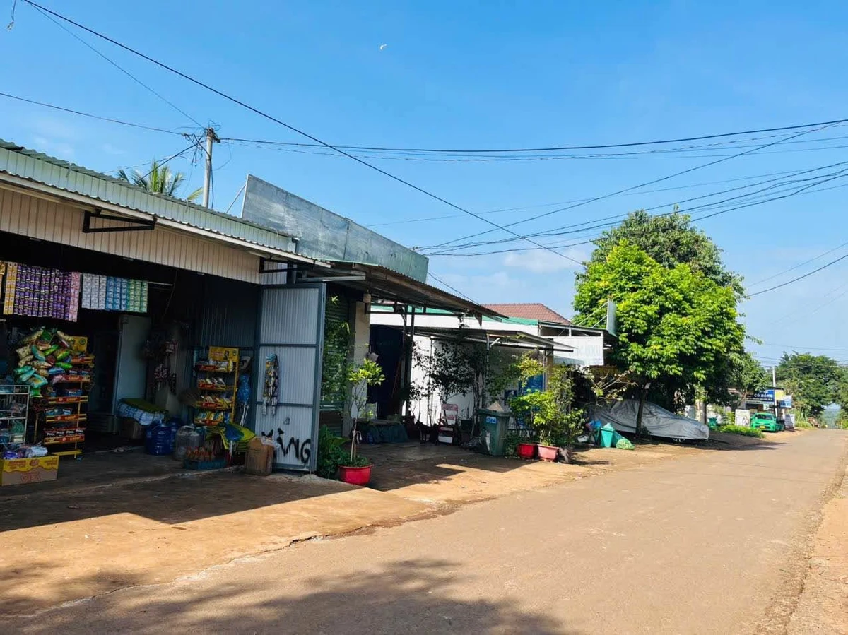 Bán lô đất kinh doanh 60m² Phạm Ngũ Lão Quận 1 - Ảnh thu nhỏ 3