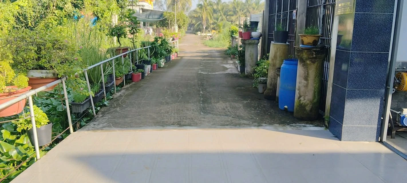 Bán đất Phú Hưng Bến Tre 530m2 1 tỷ 250 triệu - Ảnh 1