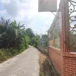 Bán nhà cấp 4 200m² Ấp Tân Lược, Tân Hương, Đồng Tháp - Ảnh thu nhỏ 3