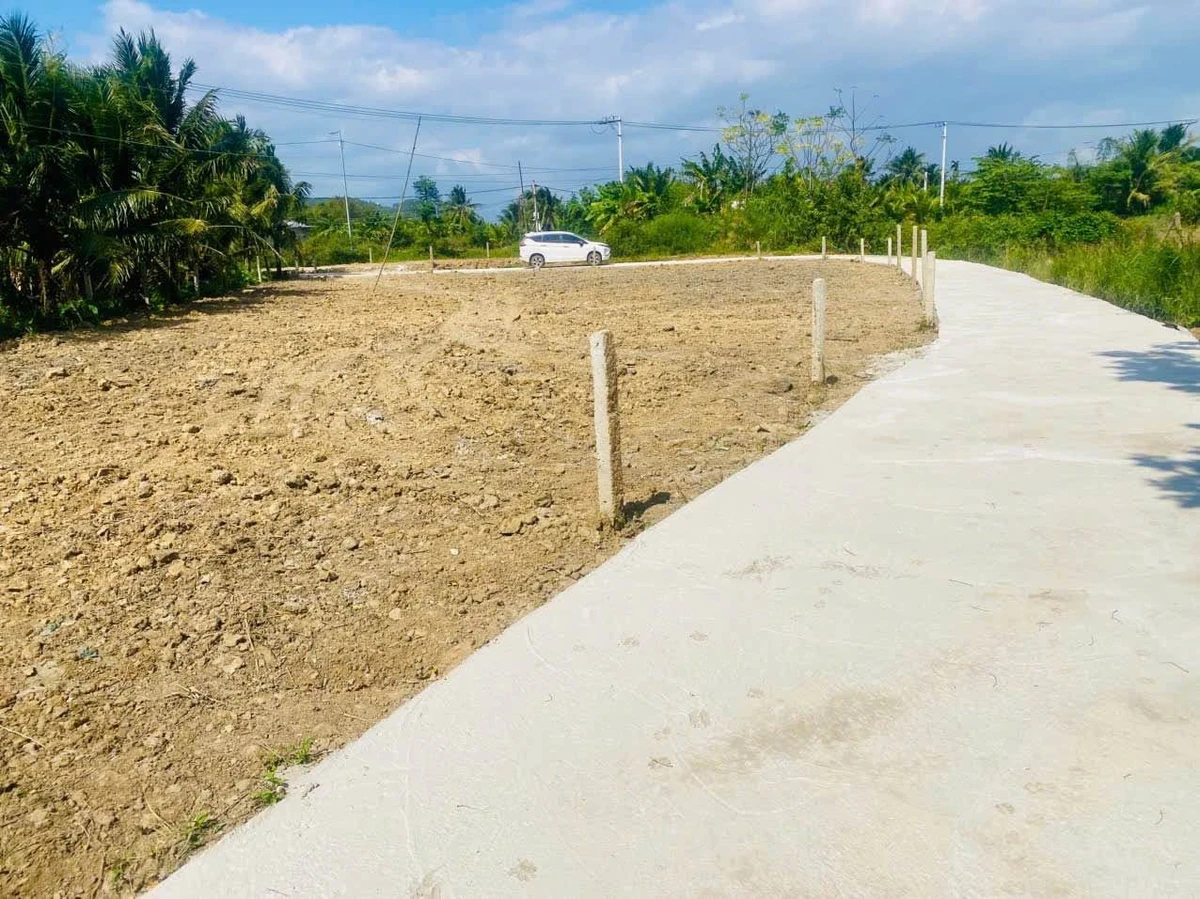 Bán đất nền Mỹ Lệ Ninh Hoà Khánh Hòa 80-100m2 chỉ 430 triệu - Ảnh thu nhỏ 2