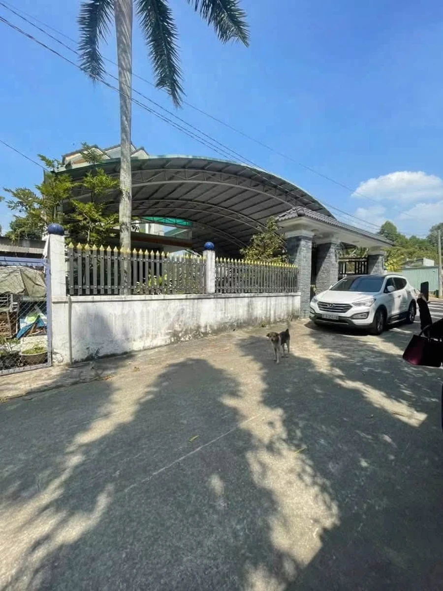 Bán gấp biệt thự 1262m2 tại phường Phú An (Tân An, Thủ Dầu Một cũ), giảm 4 tỷ - Ảnh thu nhỏ 5