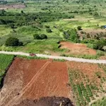Bán đất 1ha đường bê tông sổ đỏ Đắk Nông - Ảnh thu nhỏ 2