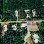 Chính chủ cắt lỗ sâu bán gấp 1.034m mặt tiền ĐT7 giá 1,2 tỷ (giá cũ 1,6 tỷ) - Ảnh thu nhỏ 2