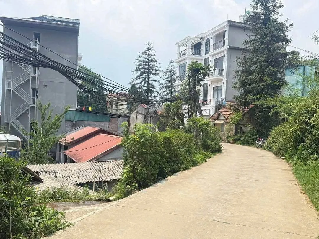 Bán lô đất Sa Pa 175m² 5.6 tỷ - Ảnh thu nhỏ 3