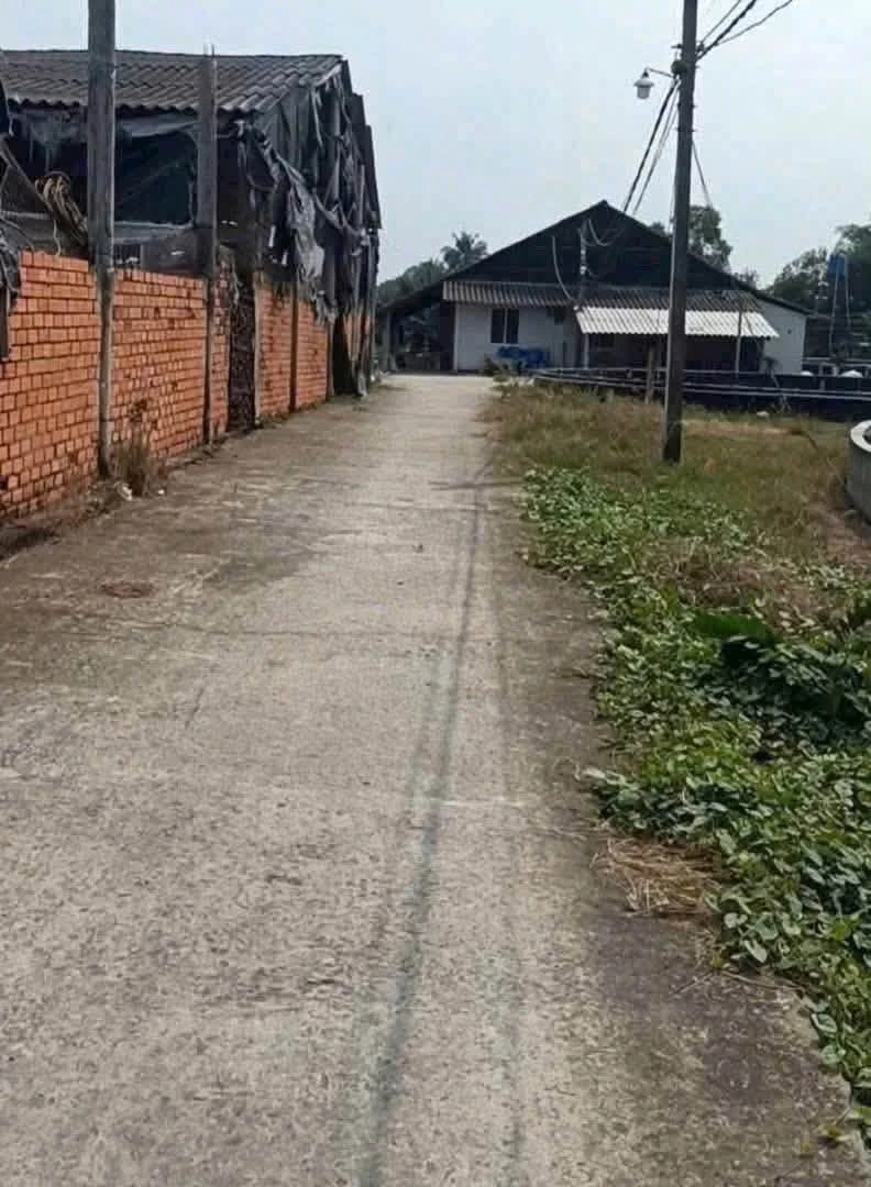 Bán trang trại 10.000m² Mỹ Thạnh Tân Trụ - 6,499 tỷ - Ảnh thu nhỏ 2