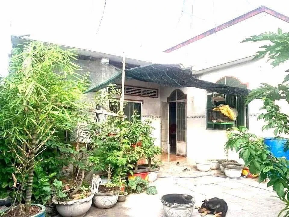 Bán nhà 3 phòng ngủ 90m² Phong Nẫm Bến Tre - Ảnh 1