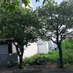 Bán đất biệt thự 100m² Phường Lái Thiêu 5 tỷ - Ảnh thu nhỏ 3