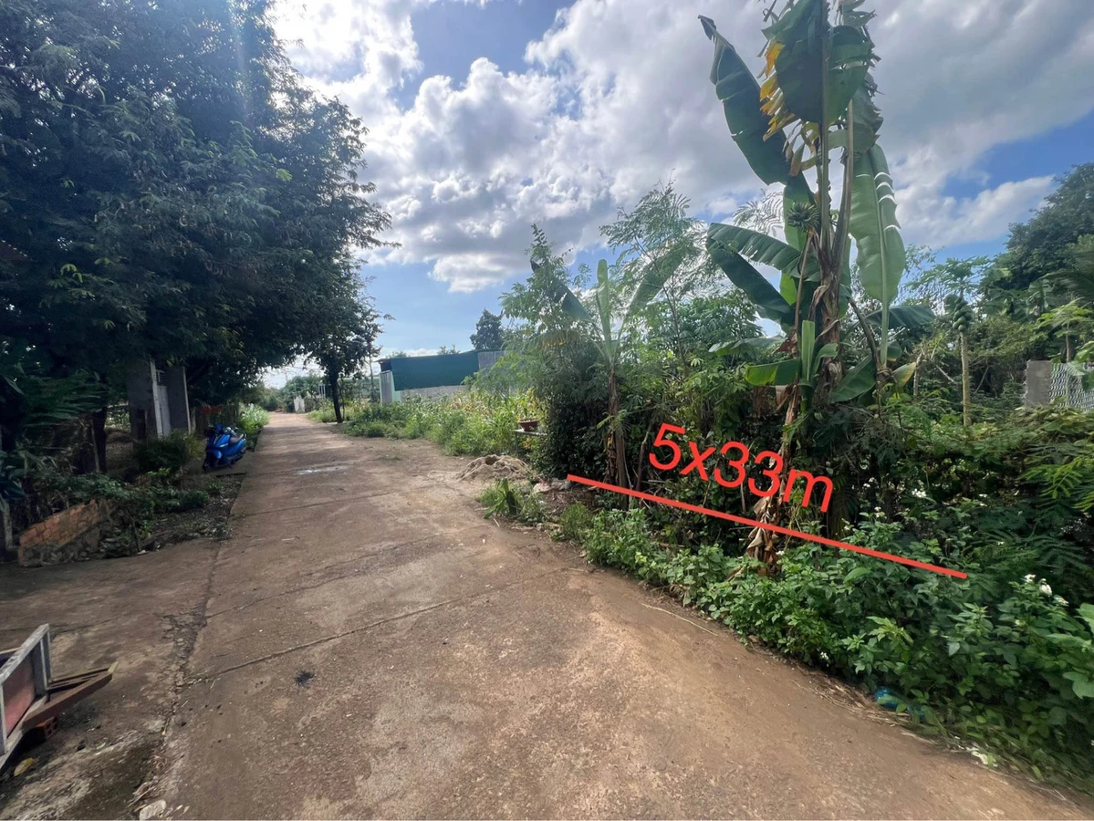 Bán đất Bình Chánh, 5x33m (165m²), 790 triệu - Ảnh thu nhỏ 3