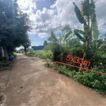 Bán đất Bình Chánh, 5x33m (165m²), 790 triệu - Ảnh thu nhỏ 3