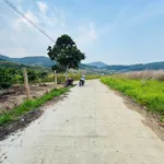 Bán đất 929m2 xã Nam Ban Lâm Hà 1.15 tỷ - Ảnh thu nhỏ 5