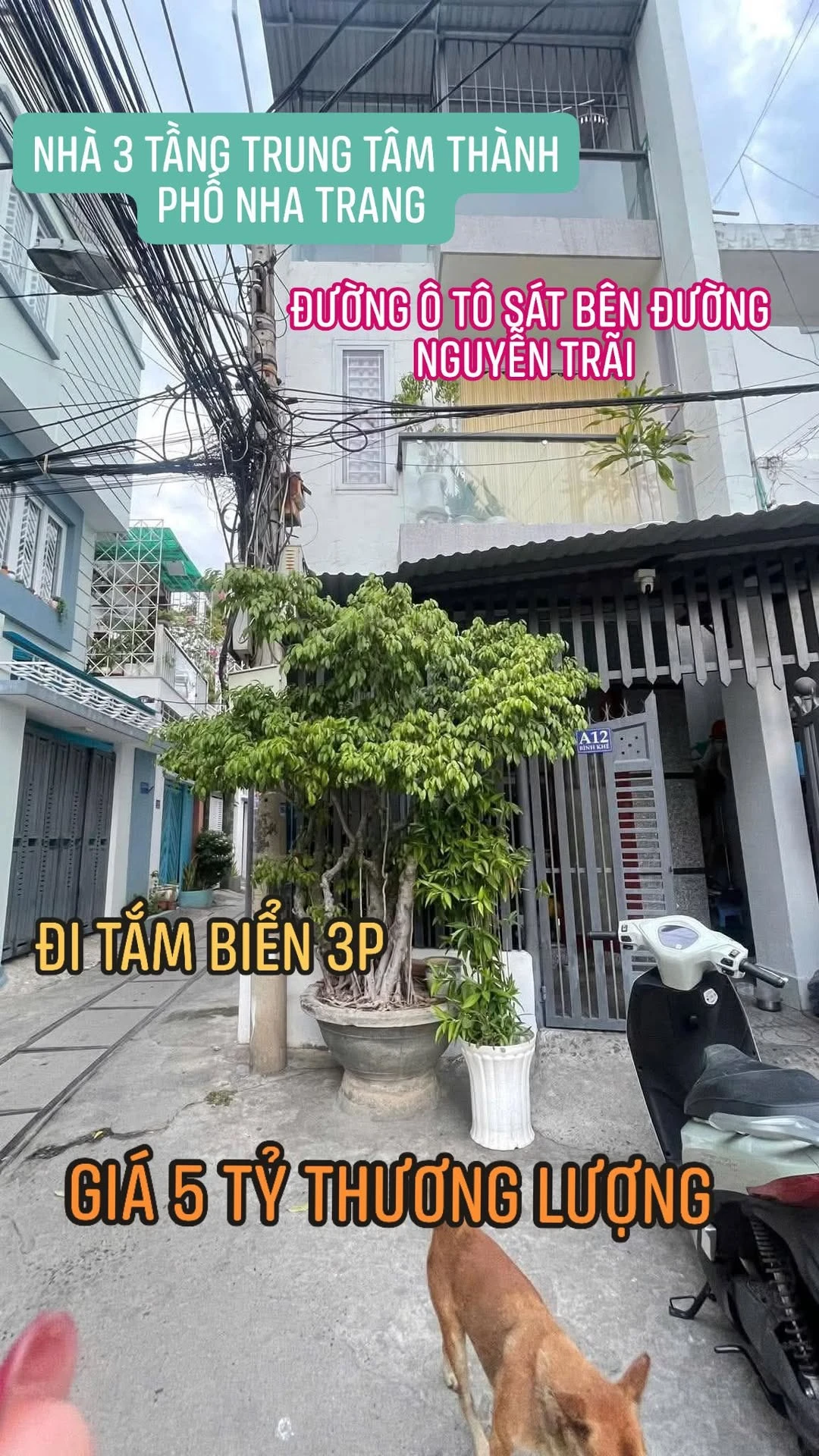 Bán nhà góc 2 mặt tiền 46m² Phước Tân Nha Trang 5 tỷ - Ảnh 1