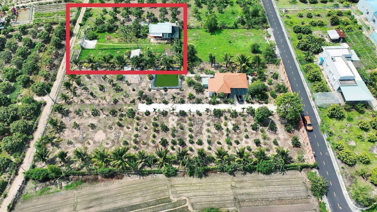 Bán đất 1000m² Xã Phước Hải Cần Giờ 3.6 tỷ - Ảnh thu nhỏ 4