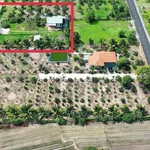 Bán đất 1000m² Xã Phước Hải Cần Giờ 3.6 tỷ - Ảnh thu nhỏ 4