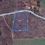 Bán đất biển Tiến Thành 2000m² view Novaworld Phan Thiết - Ảnh thu nhỏ 2