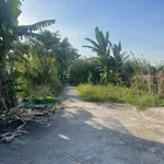 Bán đất lúa lộ ô tô Long Xuyên 2250m2, 1,1 tỷ - Ảnh thu nhỏ 3