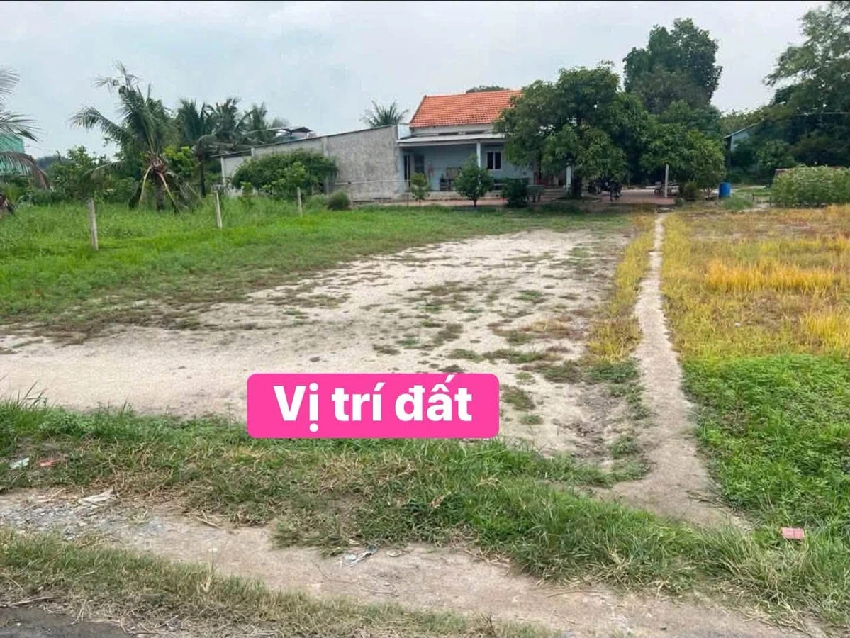 Bán 2 nền đất liền kề 5x24m sổ riêng tại khu vực 4 thị trấn Đức Hòa giá 850 triệu - Ảnh thu nhỏ 2