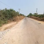 Tôi chính chủ cần bán gấp 10 hecta đất đen đường nhựa lớn giá 1,35tỷ/mẫu tại xã Ninh Điền TN - Ảnh thu nhỏ 1