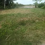 Bán 12.000m² đất nền Tân Xuân, Ba Tri, Bến Tre - Ảnh thu nhỏ 2