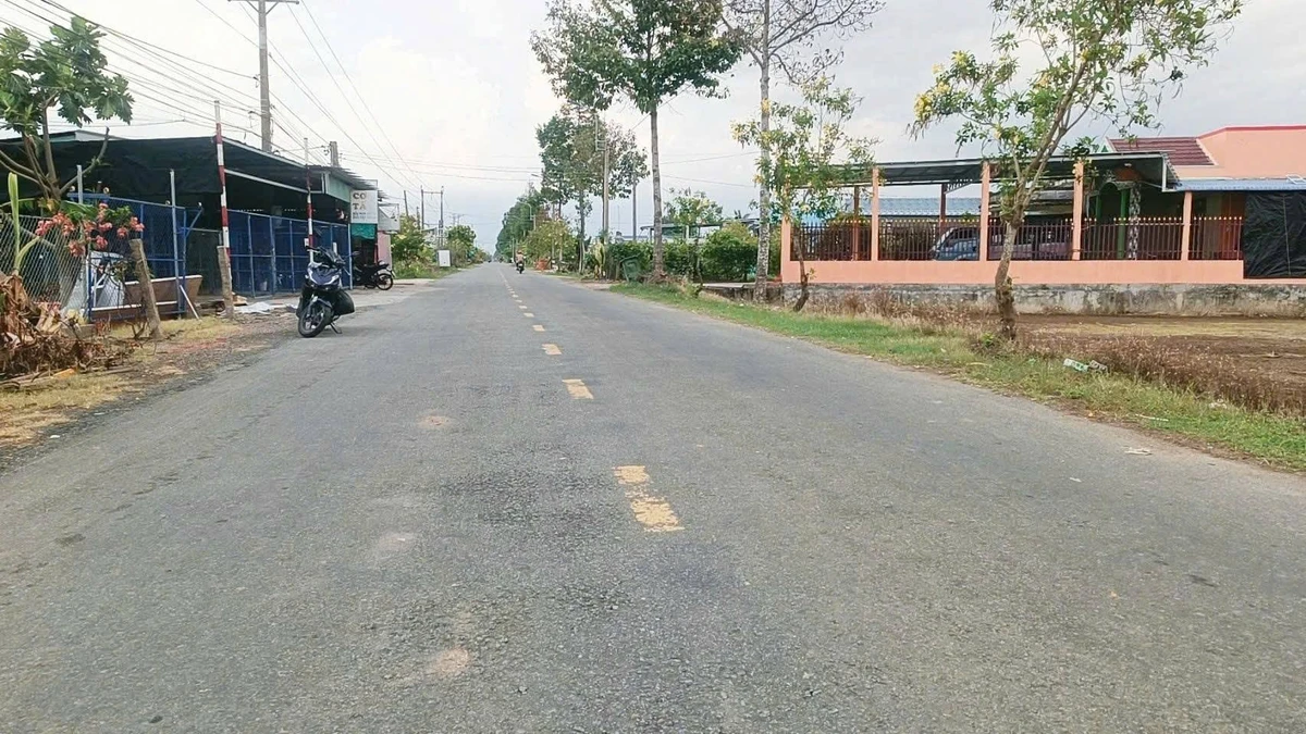 Bán đất thổ cư 226m² Tân Trụ, Tây Ninh, 1,3 tỷ - Ảnh thu nhỏ 3