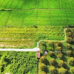 980tr, 1000m2 có thổ cư gần hết đất, gần dự án KCN Hiệp Thạnh, đường bê tông - Ảnh thu nhỏ 10