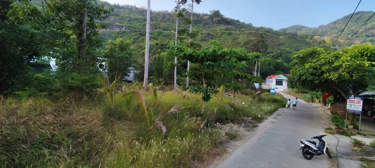 Bán lô đất 294m² Ấp Bãi Nhà, An Giang, mặt tiền 19.7m - Ảnh 1