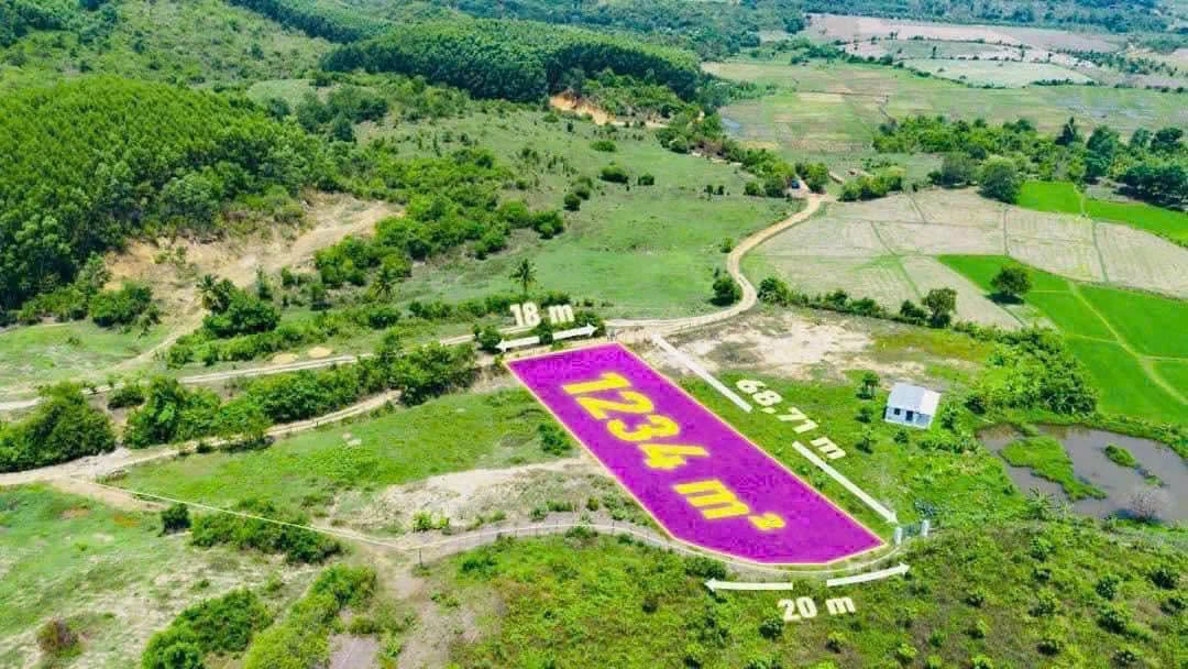 Bán đất 2 mặt tiền Ninh Hưng - Ninh Hoà 1234m2 - Ảnh 1