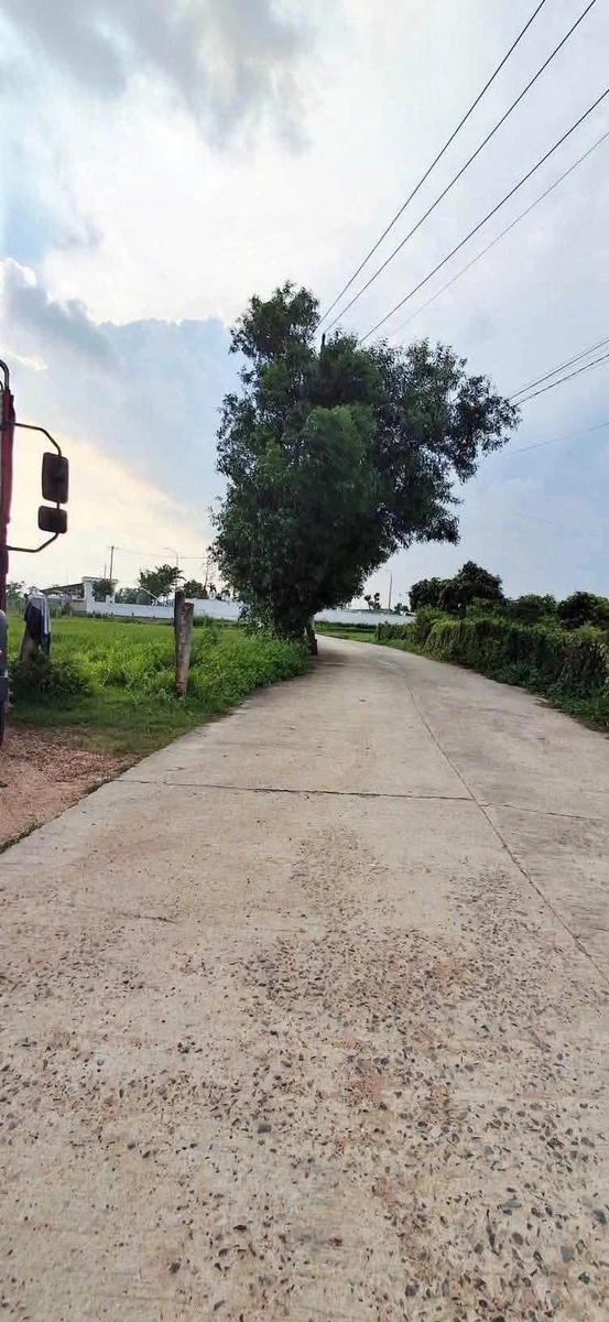 Bán đất gần 1 sào An Phú Hàm Chính 200 triệu - Ảnh 1