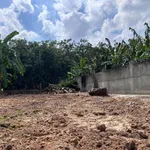 Bán đất thổ cư 10x38m sau trường tiểu học An Lợi, giá 2,55 tỷ - Ảnh thu nhỏ 3