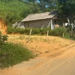 Bán đất 195m2 mặt tiền đường bê tông gần 7m tại Tân Sơn, Phú Thọ, giá khoảng 100 triệu - Ảnh thu nhỏ 1