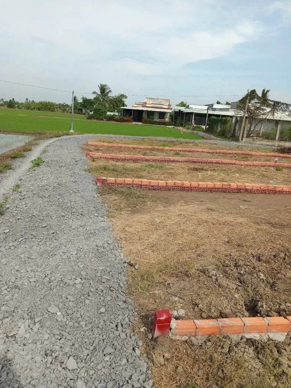 Bán 5 lô đất nền 112,5 m² Mỹ Lệ Long An giá 365 triệu