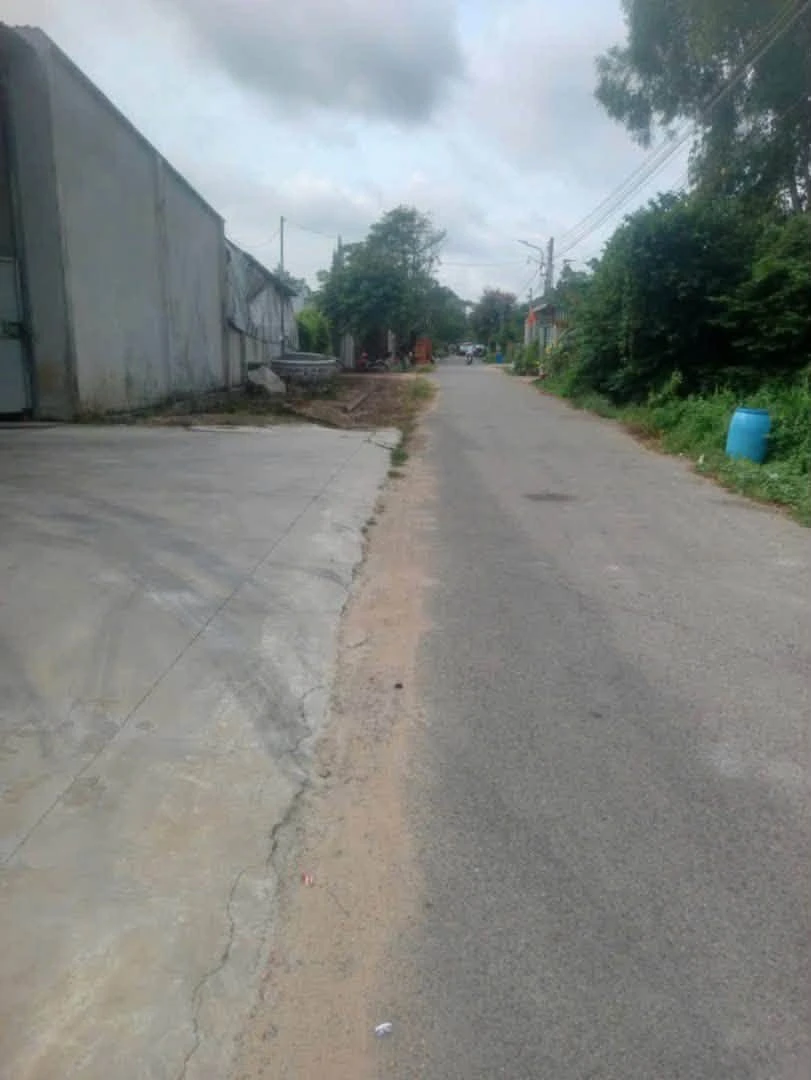 Bán lô đất 5000m² đường nhựa Phú An, Bình Dương - 3 tỷ 100 - Ảnh thu nhỏ 3