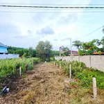 Bán đất thổ cư 5x30m hẻm Lý Nam Đế, Phước Hội, Lâm Đồng - Ảnh thu nhỏ 4