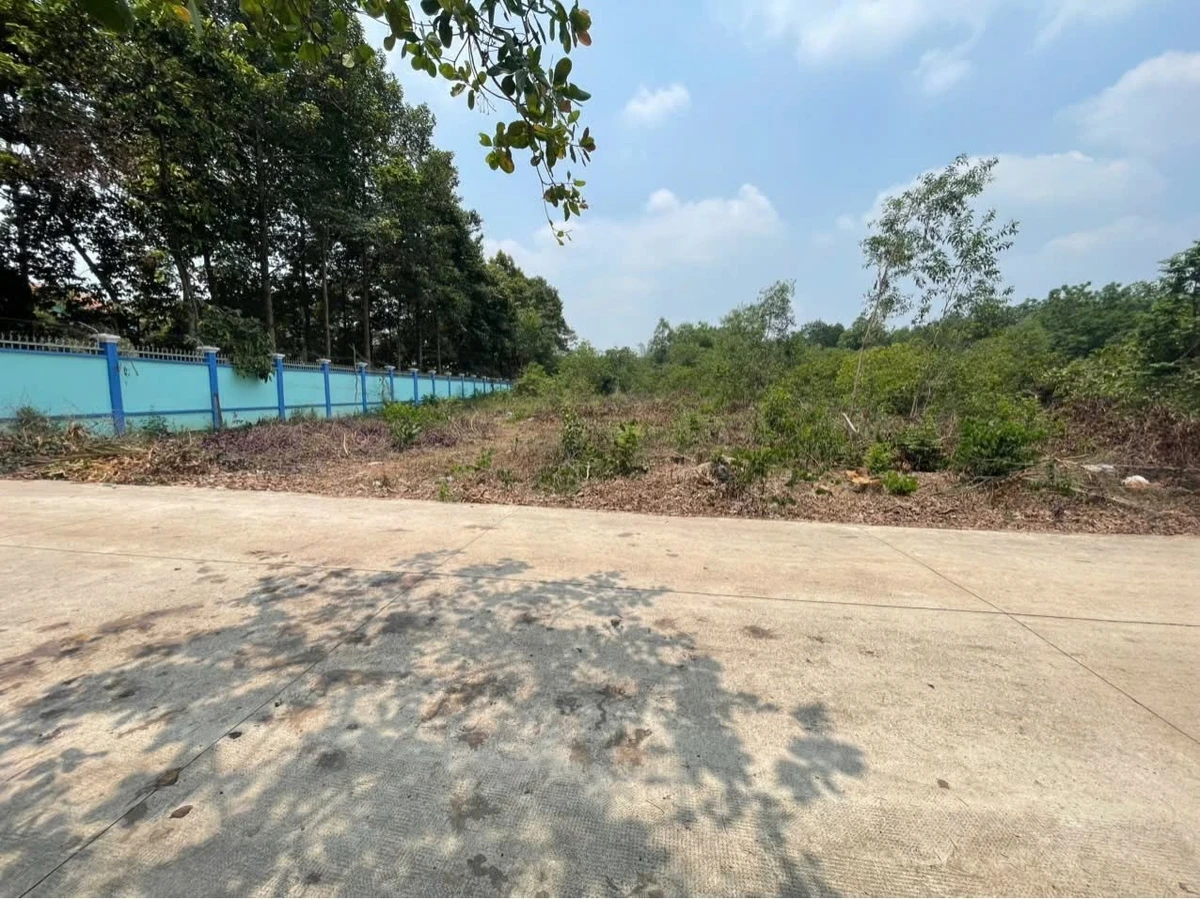 Bán đất nền 359.9m² Tân Thành, Bắc Tân Uyên, Bình Dương 2.5 tỷ - Ảnh thu nhỏ 4