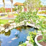 Bán lô đất góc 2 mặt tiền 750m2 Hàm Liêm Khánh Hòa - Ảnh thu nhỏ 3