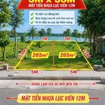 Bán lô đất mặt tiền Lục Viên 551.5m² Long An - Ảnh thu nhỏ 1