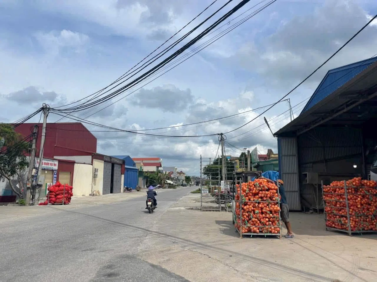Bán lô đất 121m2 Lôi Xá Cầm Giàng Hải Dương - Ảnh thu nhỏ 4