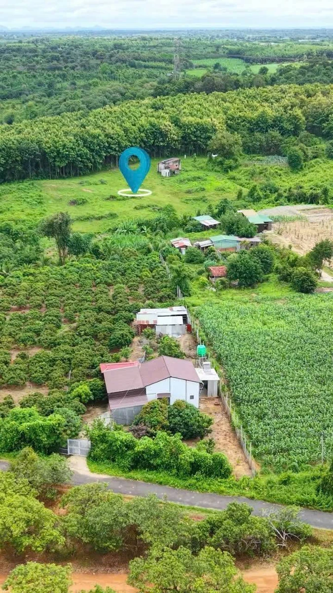 Bán đất 5,1 sào ngay Cầu 14 Sêrêpốk giá 1 tỷ - Ảnh thu nhỏ 3