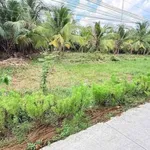 Bán đất mặt tiền Lộ Liên Xã Mỹ Thạnh, 1.337m², 1 tỷ 850 triệu - Ảnh thu nhỏ 2