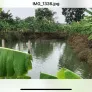 Cần bán khu nghỉ dưỡng tại xã Đá Bạc - Huyện Châu Đức (cũ) - Ảnh thu nhỏ 7