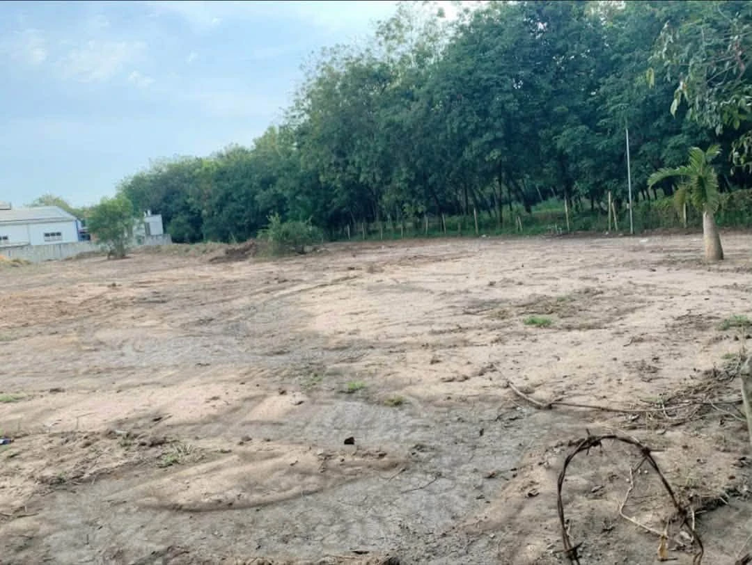 Bán lô đất vườn 4000m2 (1200m2 thổ cư) An Điền, Bình Chánh 22 tỷ - Ảnh 1