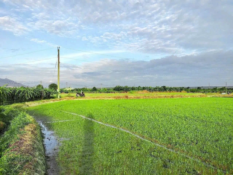 Bán đất vườn 2,5 sào quy hoạch full thổ cư Lâm Đồng