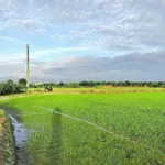 Bán đất vườn 2,5 sào quy hoạch full thổ cư Lâm Đồng - Ảnh thu nhỏ 1