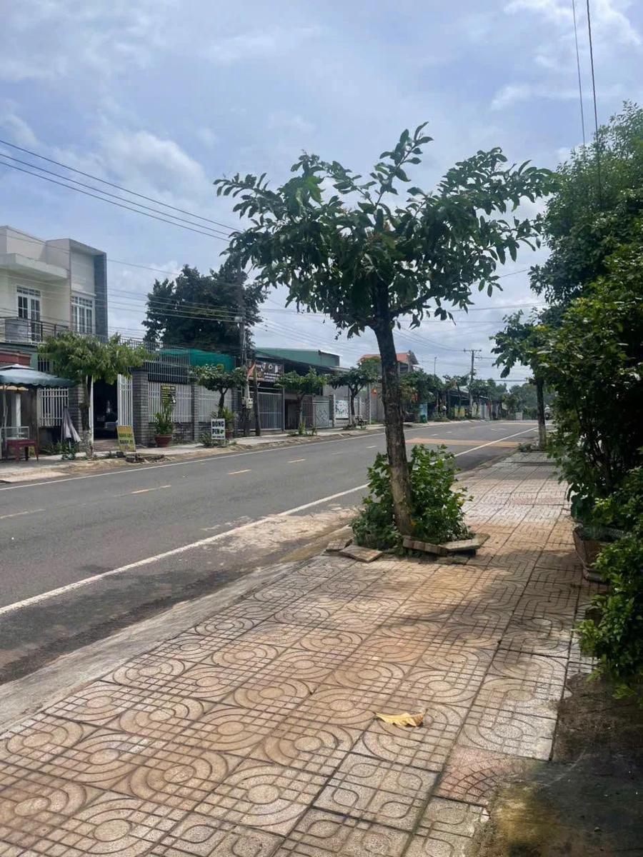Bán nhà mặt tiền Lý Thái Tổ Vĩnh Cửu 500m² giá trên 3 tỷ - Ảnh thu nhỏ 4
