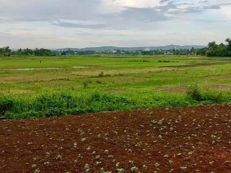 Bán 548m2 đất thổ cư view ruộng gần hồ Ea Kao, Buôn Ma Thuột, giá 1,6 tỷ - Ảnh thu nhỏ 3