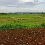 Bán 548m2 đất thổ cư view ruộng gần hồ Ea Kao, Buôn Ma Thuột, giá 1,6 tỷ - Ảnh thu nhỏ 3