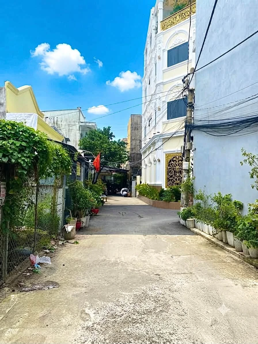 Bán lô đất 100m² ngang 6m hẻm Huỳnh Tấn Phát, Nhà Bè, giá 2,9 tỷ - Ảnh thu nhỏ 2